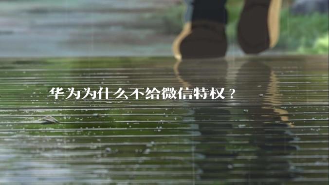 华为为什么不给微信特权?